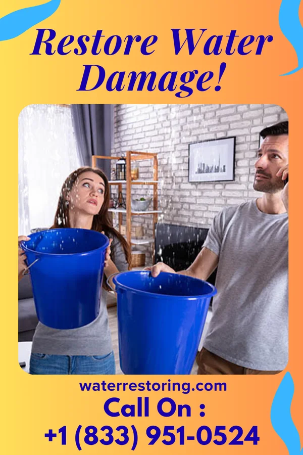 water restoration Horizon Cleanup Experts Nageezi